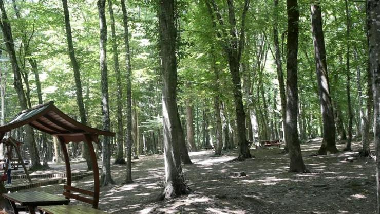 Ankara'da ateşli piknik yasağı uzatıldı Ankara'da ateşli piknik yasağı uzatıldı