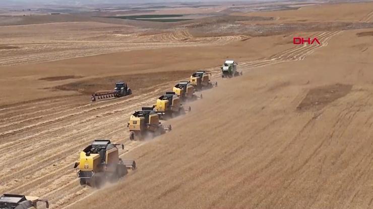 Devlet boş arazileri kiralayacak Kasım ayında başlayacak