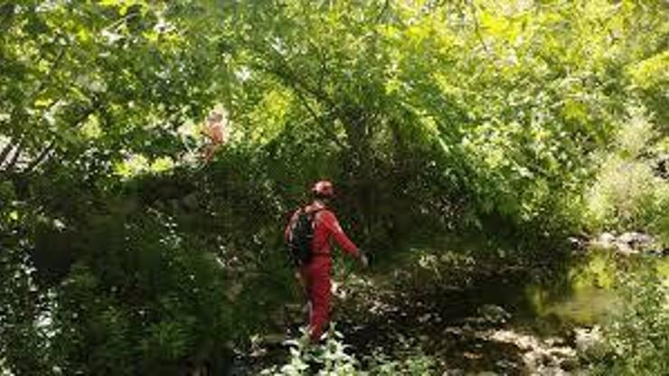 Ağrı'da dört koldan seferberlik: 14 yaşındaki Yunus Kerici nerede? Ağrı'da dört koldan seferberlik: 14 yaşındaki Yunus Kerici nerede?