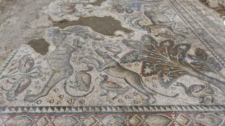 Yer: Elazığ Tesadüfen fark edildi Tam bin 700 yıllık