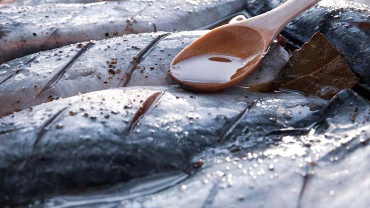 Beyni Genç Tutan Bir Numaralı Besin İşte Bu B12, Omega 3, A ve D Vitamini... İçinde Yok Yok Hafızayı Çelik Gibi Yapıyor, Alzheimer Riskini Azaltıyor Böyle Pişirirseniz Faydası Kat Kat Artıyor