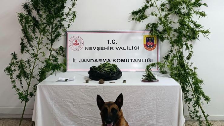 Nevşehir'de uyuşturucu operasyonu: 2 gözaltı Nevşehir'de uyuşturucu operasyonu: 2 gözaltı