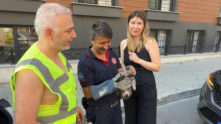İstanbul - Avcılar’da aracın motor bölümüne sıkışan kediyi yolda fark etti; itfaiye kurtardı İstanbul - Avcılar’da aracın motor bölümüne sıkışan kediyi yolda fark etti; itfaiye kurtardı