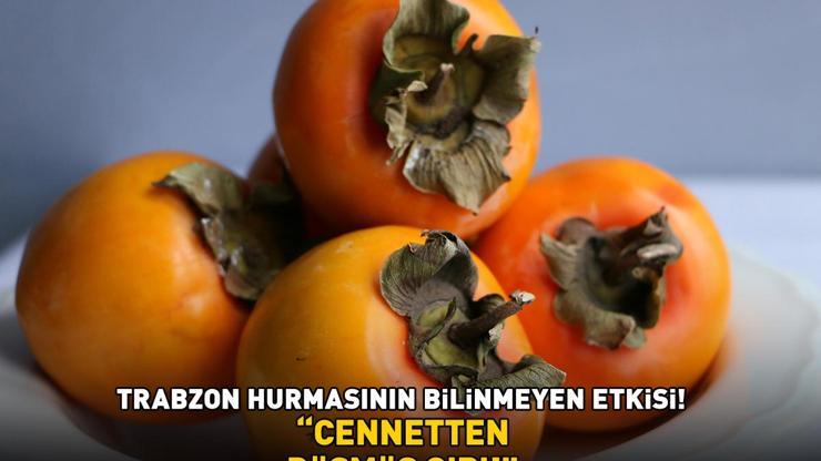 CENNETTEN DÜŞMÜŞ GİBİ Trabzon hurmasının bilinmeyen etkisi Kalp ve diyabet gibi kronik hastalıklar üzerinde kritik rol oynuyor