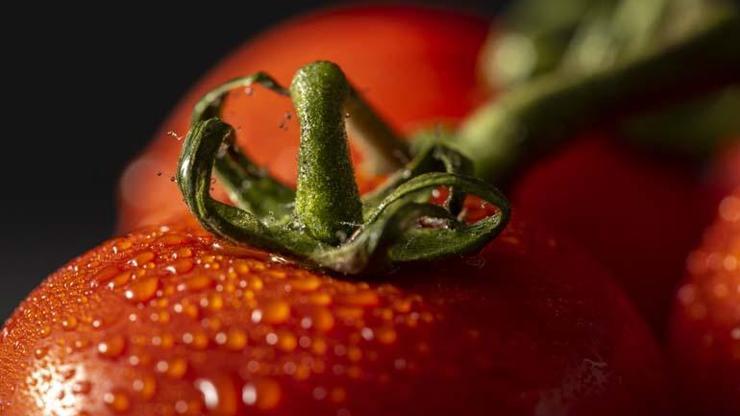 Prostat Kanserine Karşı 2 Süper Besin Hastalıktan Koruduğu Ortaya Çıktı