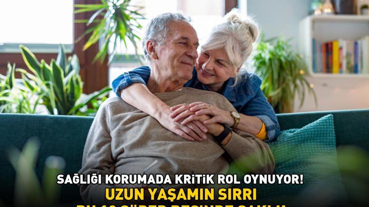 UZUN YAŞAMIN SIRRI BU 10 SÜPER BESİNDE SAKLI Sağlığı korumada kritik rol oynuyor