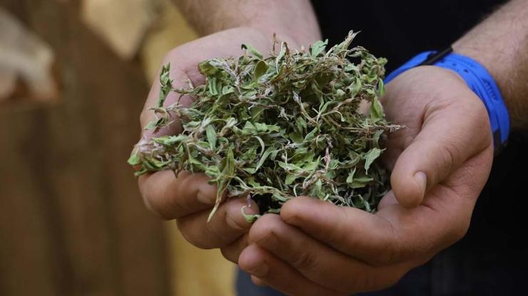 Kurusunun 100 gramı ile bir öğünlük yemek pişiyor Kış aylarının vazgeçilmez lezzeti tezgahlarda