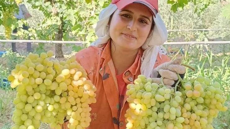 1 KASE İLE GELEN ŞİFA Kanser, Tansiyon, Kemik, Kansızlık, Göz, Böbrek, Tansiyon, Hafıza, Cilt, Sindirim Sistemi... Her Organa Ayrı Faydası Ortaya Çıktı