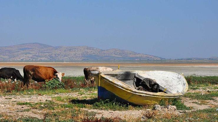 Türkiye’nin göl ekosistemi çöküyor: 240'ından 186’sı kurudu