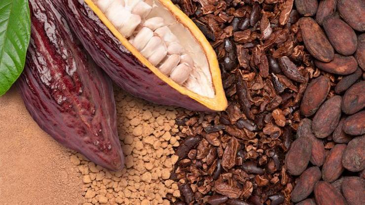Kakao fiyatları 2025’te yüzde 40 geriledi! Rekolte artışı piyasayı baskılıyor Kakao fiyatları 2025’te yüzde 40 geriledi! Rekolte artışı piyasayı baskılıyor
