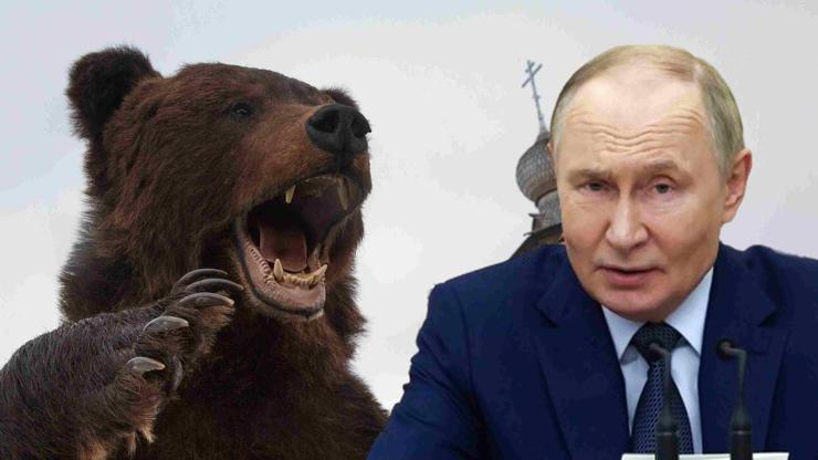 Rusya’dan Trump’a alaycı yanıt: Kaplan değil, ‘ayı’…