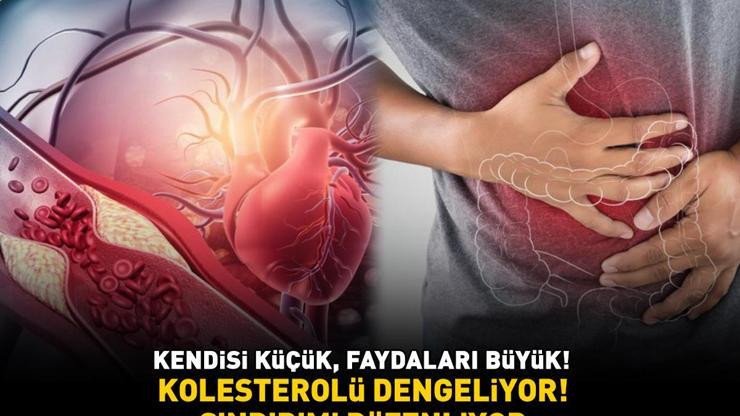 Antalya, Hatay, Bursa, Çanakkale gibi illerde yetiştiriliyor Kendisi küçük, faydası büyük: Kolesterolü dengeliyor, sindirimi düzenliyor