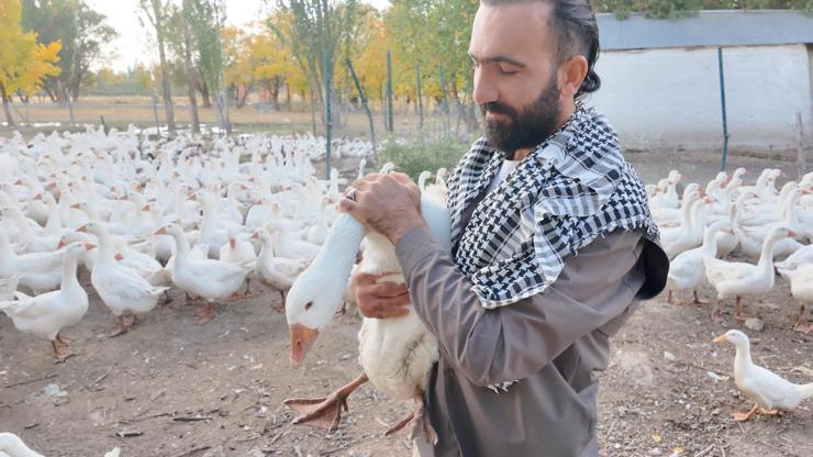 Ağrıda şaşkınlık yaratan olay Tek ıslıkla yüzlercesini etrafına topluyor