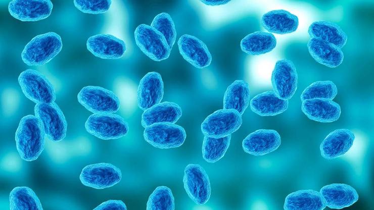 KABUS HASTALIK GERİ DÖNDÜ: 100 Günlük Öksürük Olarak Biliniyor Vakalar Arttı, Uzmanlar Uyarıyor: Ölümcül Olabilir En Çok Onlar Risk Altında