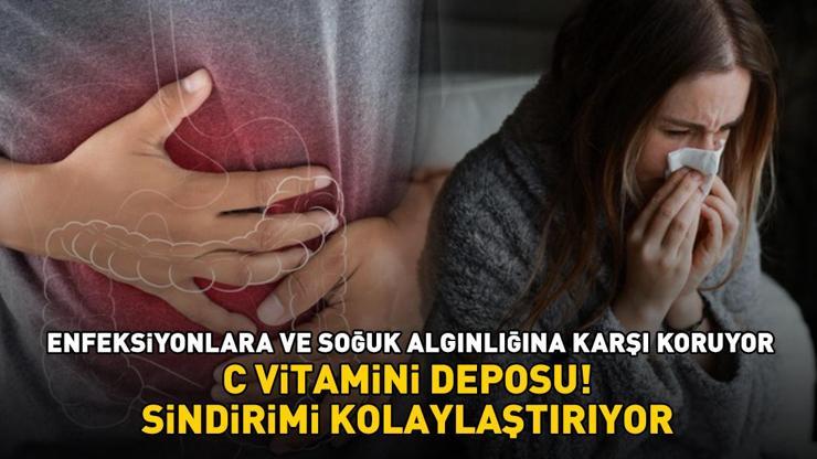 KİLOSU 8-15 TL ARASINDA! C vitamini deposu! Sindirimi kolaylaştırıyor, vücudu enfeksiyonlara ve soğuk algınlığına karşı koruyor KİLOSU 8-15 TL ARASINDA! C vitamini deposu! Sindirimi kolaylaştırıyor, vücudu enfeksiyonlara ve soğuk algınlığına karşı koruyor