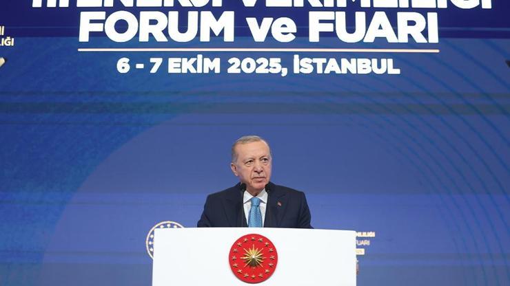 Cumhurbaşkanı Erdoğan: Doğal gaz almak bakkaldan gazoz almaya benzemez