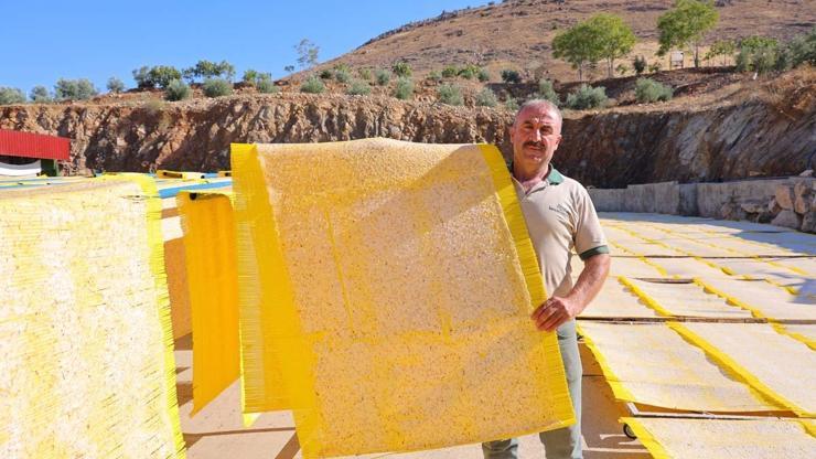 KIŞIN DOĞAL İLACI Vitamin ve Mineral Deposu Sindirimi Destekliyor, Bağırsak Sağlığını İyileştiriyor... Soğuklarda Bol Bol Tüketin