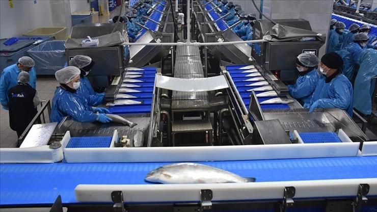 Türk somonunun 9 aylık ihracatı 368,9 milyon doları aştı