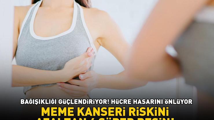 MEME KANSERİ RİSKİNİ AZALTAN 6 SÜPER BESİN Bağışıklığı güçlendiriyor, hücre hasarını önlüyor
