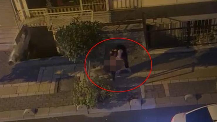 Acı içinde yardım istedi Pitbull cinsi köpek, sahibine saldırdı