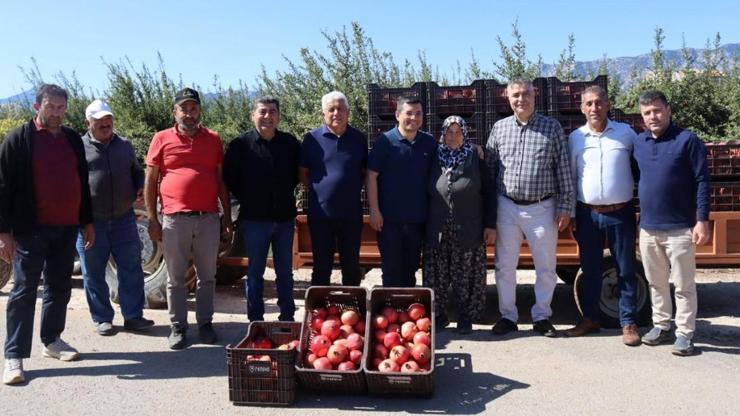 Kaymakam Çakıcı nar hasadına katıldı Kaymakam Çakıcı nar hasadına katıldı