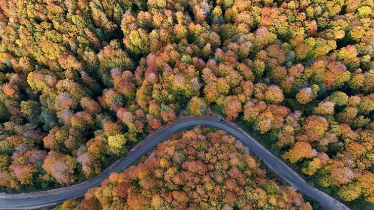 Kırklarelinin Longoz ve Istranca ormanları sonbaharın renklerine büründü