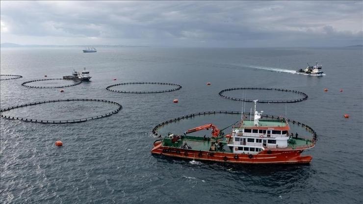 Karadeniz’den su ürünleri ihracatında rekor 9 ay