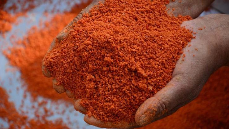 16 Çeşit Malzemeden 16 Gün Boyunca Her Gün Yoğrularak Yapılıyor Kış Sofralarının Şifalı Lezzeti: Demirci Tarhanası