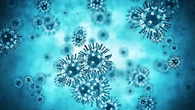 İdrar Yolu Enfeksiyonlarında Gizli Tehlike: E. Coli Bakterisi Et Kaynaklı Olabilir