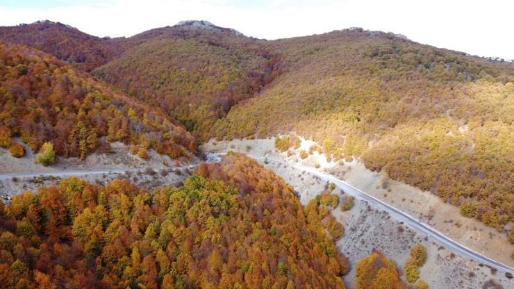 Adeta doğada bir tablo, Şebek Geçidinde sonbahar güzelliği mest ediyor
