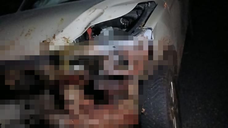 Elazığ’da kamyonet sürüye çarptı: 30 küçükbaş öldü