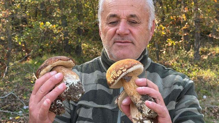 Kuraklık, Türkiye’nin mantar cennetini vurdu: Kilosu 500 TL’ye çıktı, artık gramla alınıp satılıyor...