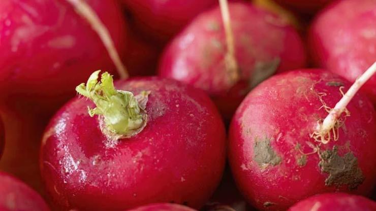 En Güçlü Doğal Antibiyotik Karaciğeri Temizliyor, Toksinleri Vücuttan Atıyor... Çiğ Tüketildiğinde Metabolizmayı Adeta Uçuruyor