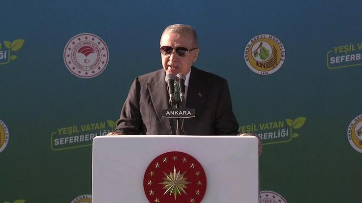 Cumhurbaşkanı Erdoğan: Ormanlarımız yaşam kaynağımız