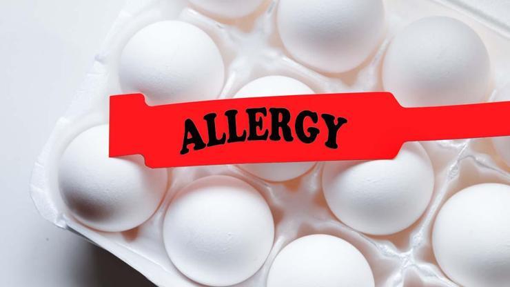 Şiddetli Yumurta Alerjisi Olanlara Grip Aşısı Uyarısı Grip Aşısını Kimler Yaptırabilir Grip Aşısı İçin En Uygun Zaman Ne