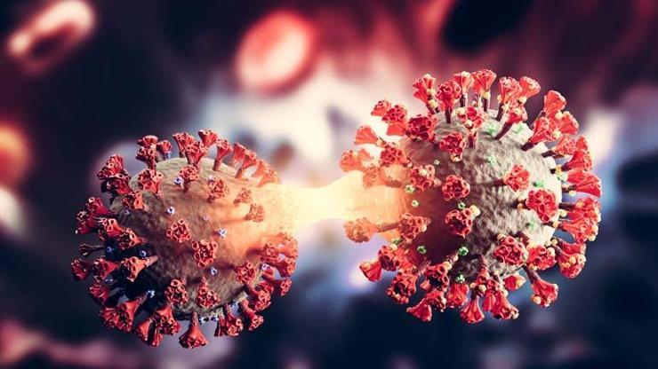 Yeni Virüs Alarmı DSÖden Acil Uyarı: H3N2 Dünyada Rekor Hızla Yayılıyor