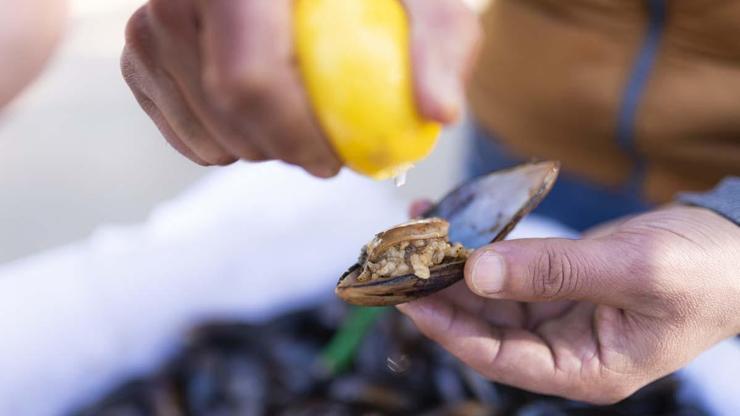 Sokak Lezzetlerine Dikkat Midye, Tavuk, Kokoreç, Kumpir... Hangi Gıdalar Tehlikeli