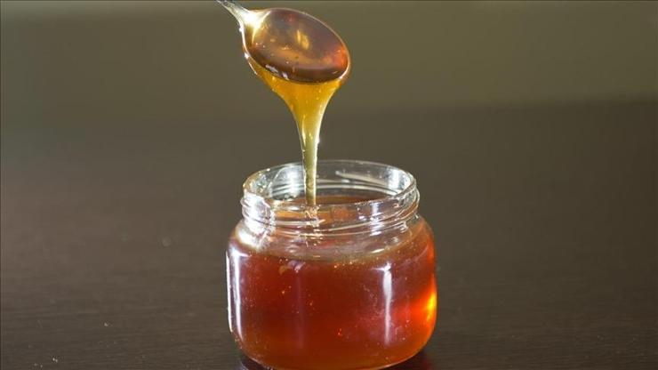 Doğu Karadeniz’in 10 aylık bal ihracatı 1,8 milyon doları aştı