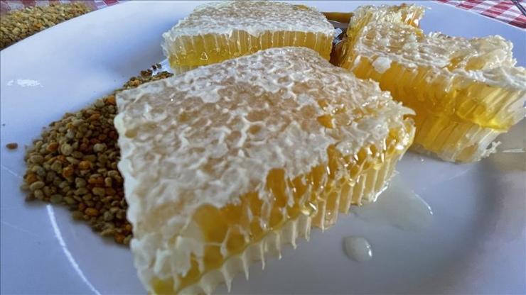 Yenice Ihlamur Balı'na AB'den coğrafi işaret tescili