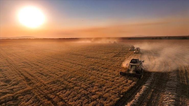 Çiftçilere 331,6 milyon liralık destek ödemesi