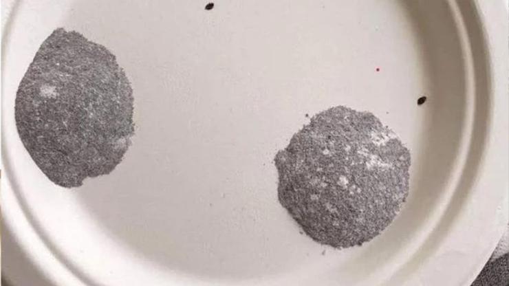  Aile ve öğrenciyi öldüren gizli tehlike