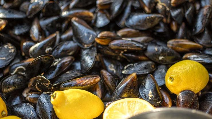 Dikkat Zehirleyebilir... İşte En Yüksek Risk Taşıyan Sokak Lezzetleri: Midye, Tavuk Döner...