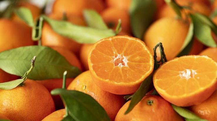 Hepsi C ve D Vitamini Deposu Kış Aylarında Vücut Direncini Artıracak Besinler Listesi... Bağışıklığı Çelik Gibi Yapıyor