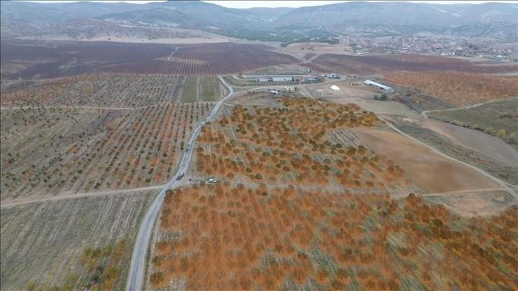 Yozgat’ta 5 bin dönümlük meyve bahçesi 800 kişiye iş kapısı oldu