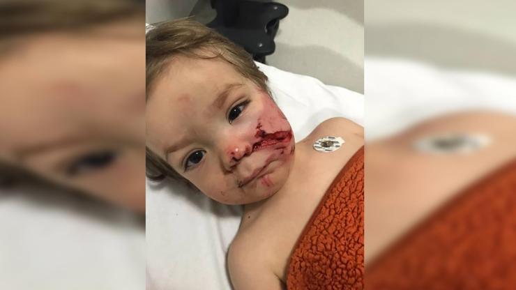  Çocuklarımın yüzüne bakamıyorum