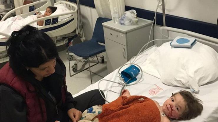 Ankara'da 2 çocuğu yaralayan pitbull cinsi köpeğin sahibi tutuklandı Ankara'da 2 çocuğu yaralayan pitbull cinsi köpeğin sahibi tutuklandı