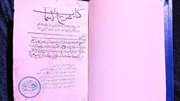 Yurt dışına kaçırılan 110 tarihi eser, Türkiye'ye getirildi