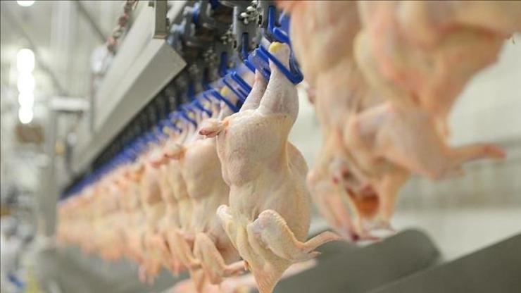 BESD-BİR, tavuk eti zehirlenmelerine karşı uyardı