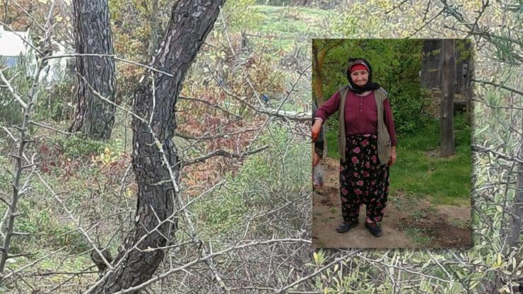 Çanakkale'de 90 yaşındaki kayıp Alzheimer hastası, ölü bulundu