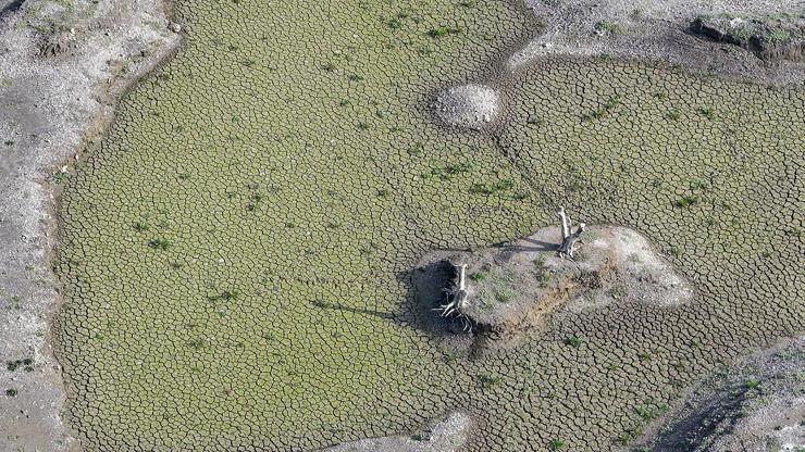  Yüzde 1'in altına düştü